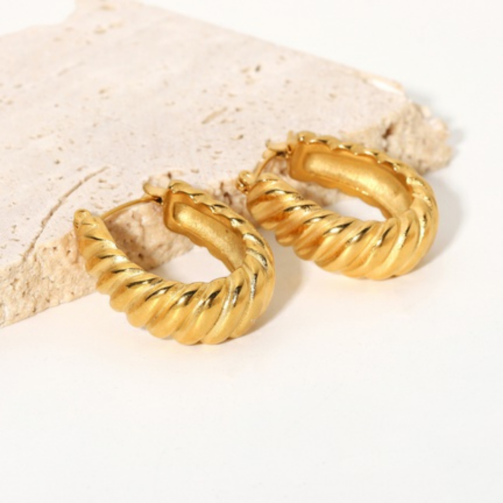 Stainless Steel Earrings